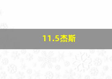 11.5杰斯