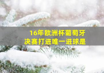 16年欧洲杯葡萄牙决赛打进唯一进球是