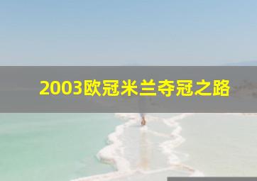 2003欧冠米兰夺冠之路