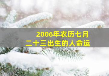 2006年农历七月二十三出生的人命运