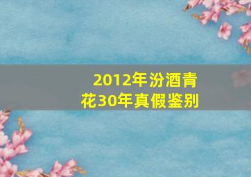 2012年汾酒青花30年真假鉴别