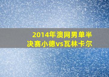 2014年澳网男单半决赛小德vs瓦林卡尔