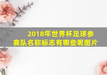 2018年世界杯足球参赛队名称标志有哪些呢图片