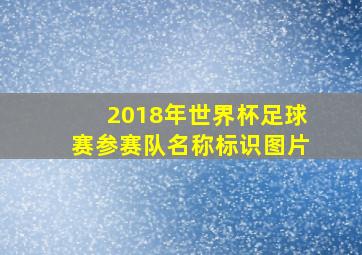 2018年世界杯足球赛参赛队名称标识图片