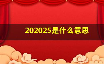 202025是什么意思