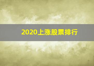 2020上涨股票排行