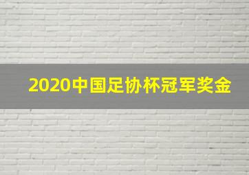 2020中国足协杯冠军奖金