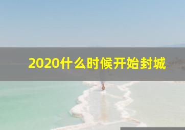 2020什么时候开始封城