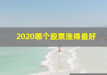 2020哪个股票涨得最好