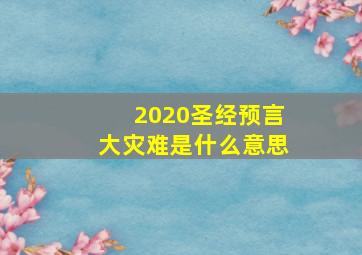 2020圣经预言大灾难是什么意思