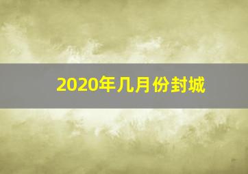 2020年几月份封城