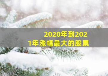 2020年到2021年涨幅最大的股票