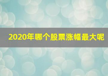 2020年哪个股票涨幅最大呢