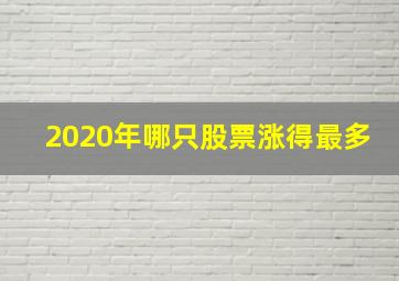 2020年哪只股票涨得最多