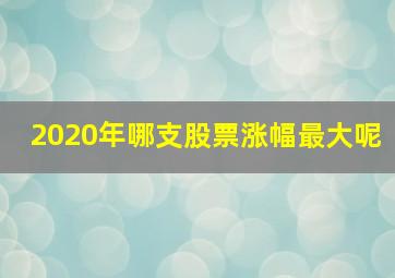 2020年哪支股票涨幅最大呢