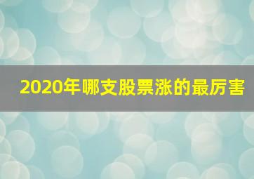 2020年哪支股票涨的最厉害