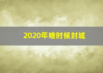 2020年啥时候封城