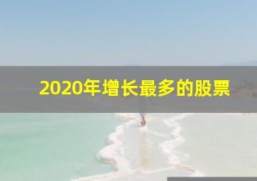 2020年增长最多的股票