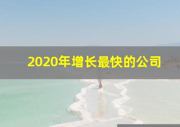 2020年增长最快的公司