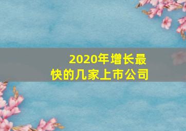 2020年增长最快的几家上市公司