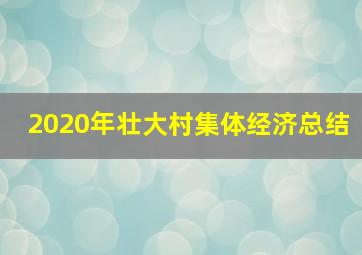 2020年壮大村集体经济总结