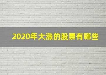 2020年大涨的股票有哪些