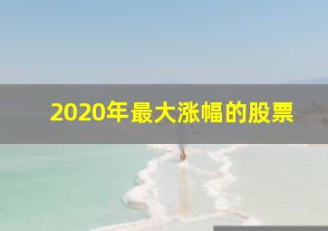 2020年最大涨幅的股票