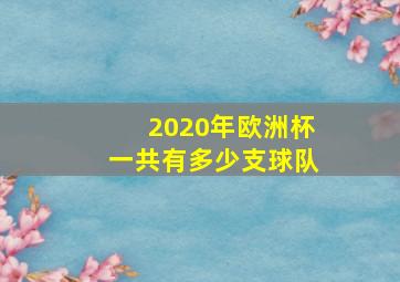 2020年欧洲杯一共有多少支球队