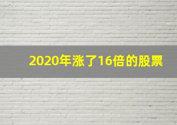 2020年涨了16倍的股票