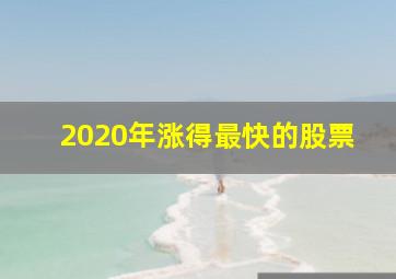 2020年涨得最快的股票