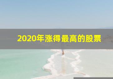 2020年涨得最高的股票