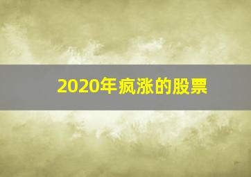 2020年疯涨的股票