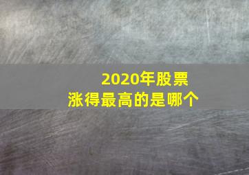 2020年股票涨得最高的是哪个