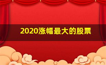 2020涨幅最大的股票