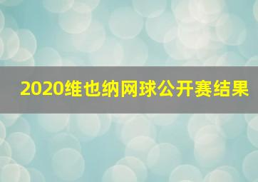 2020维也纳网球公开赛结果