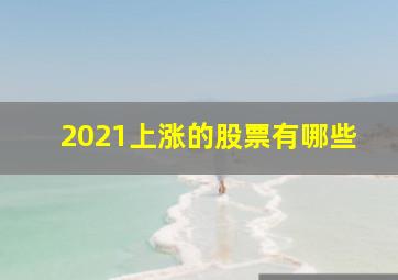 2021上涨的股票有哪些