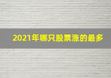 2021年哪只股票涨的最多