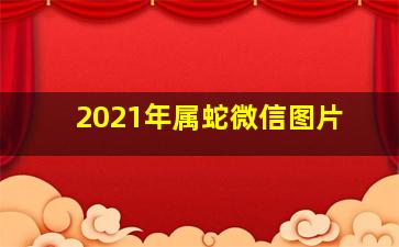 2021年属蛇微信图片