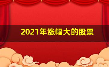 2021年涨幅大的股票