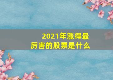 2021年涨得最厉害的股票是什么