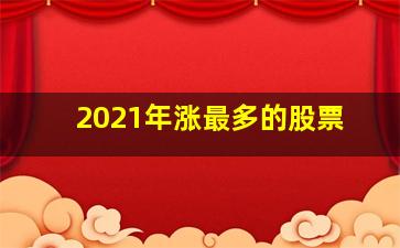 2021年涨最多的股票