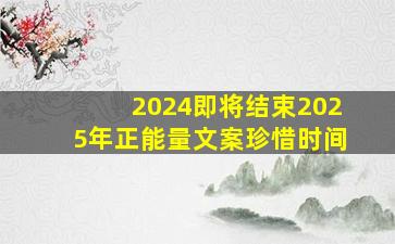 2024即将结束2025年正能量文案珍惜时间