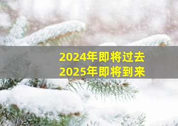 2024年即将过去2025年即将到来