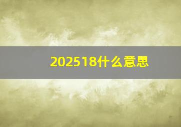 202518什么意思