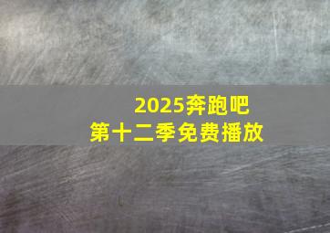 2025奔跑吧第十二季免费播放