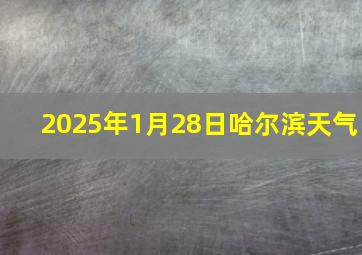 2025年1月28日哈尔滨天气