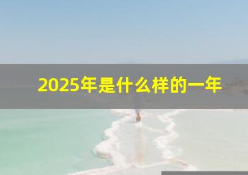 2025年是什么样的一年