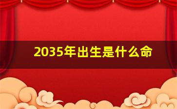 2035年出生是什么命