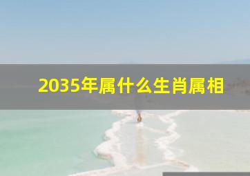 2035年属什么生肖属相