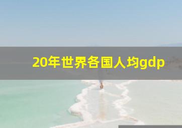 20年世界各国人均gdp